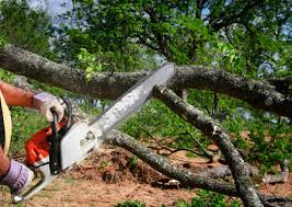 Mulching Services in Jasper, TN